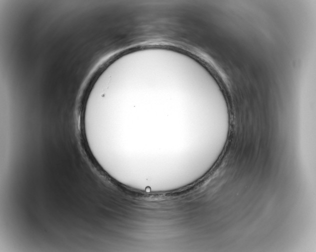 X0000096661416200802261332