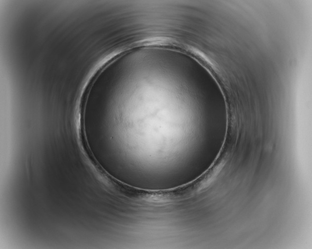 X0000096661418200802261332