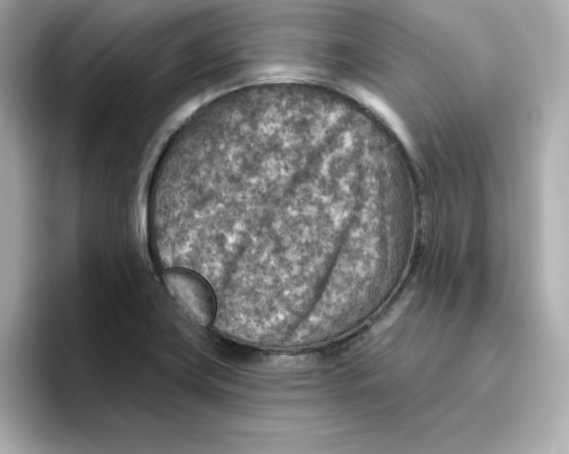 X0000096661419200802261332