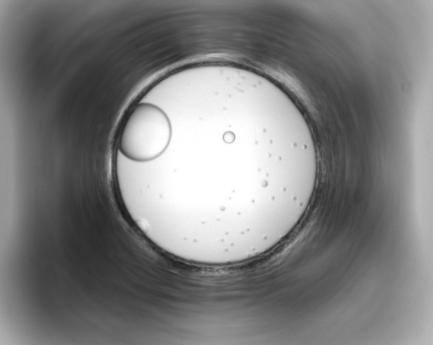 X0000096661420200802261333