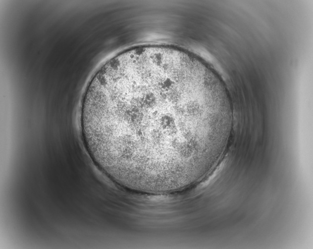 X0000096661421200802261333