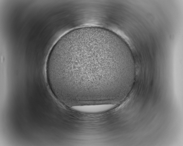 X0000096661423200802261333