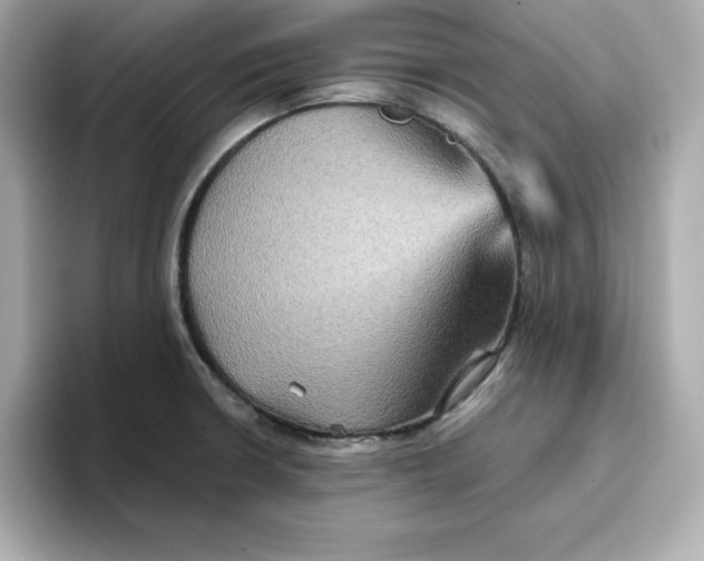 X0000096661426200802261333