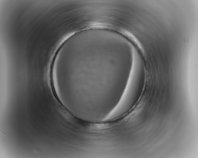 X0000096661427200802261333