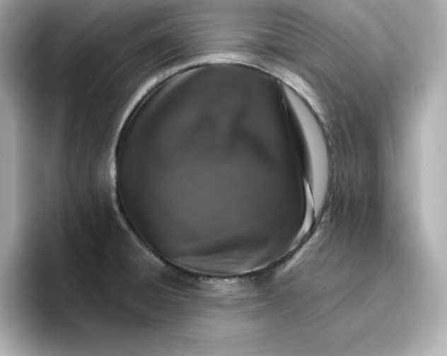 X0000096661428200802261333