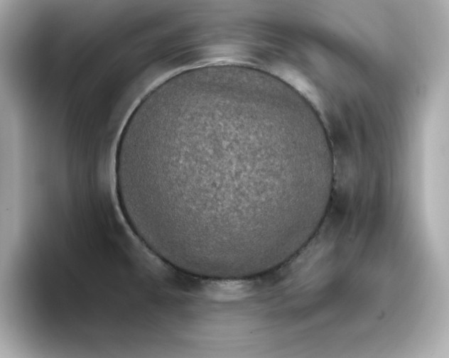 X0000096661431200802261333