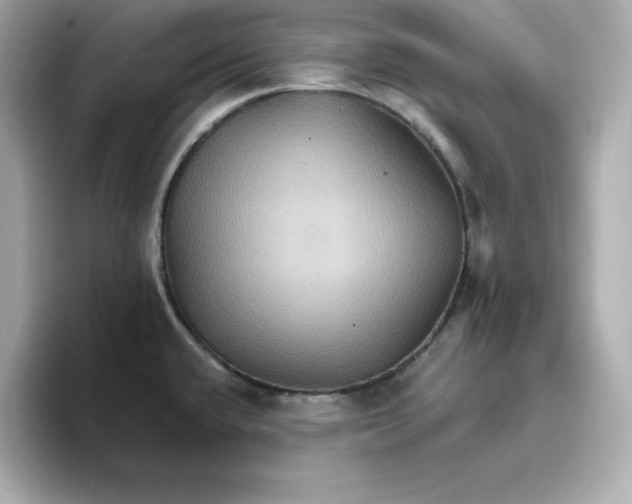 X0000096661432200802261333