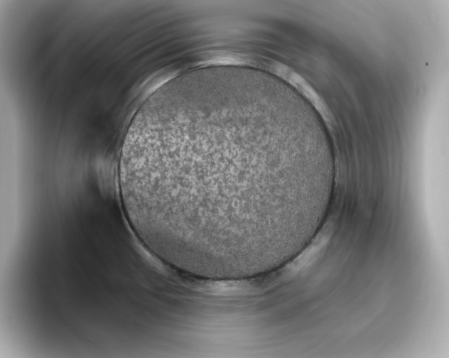 X0000096661433200802261333