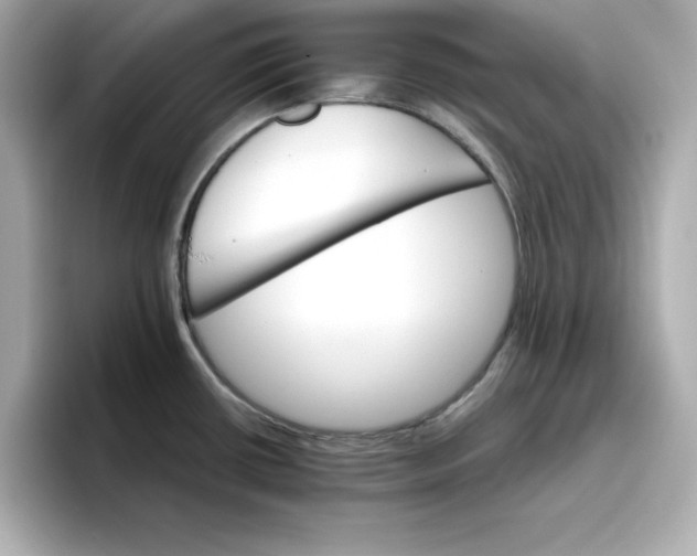 X0000096661434200802261333