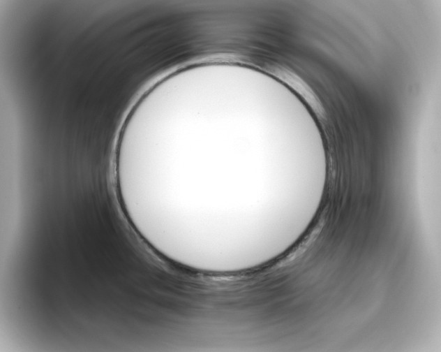 X0000096661436200802261333