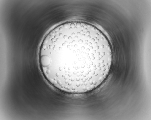 X0000096661437200802261333