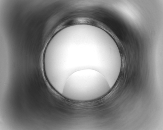 X0000096661439200802261333