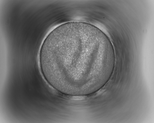 X0000096661440200802261333