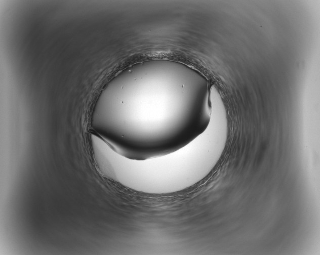 X0000096661441200802261332