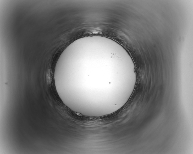 X0000096661442200802261332