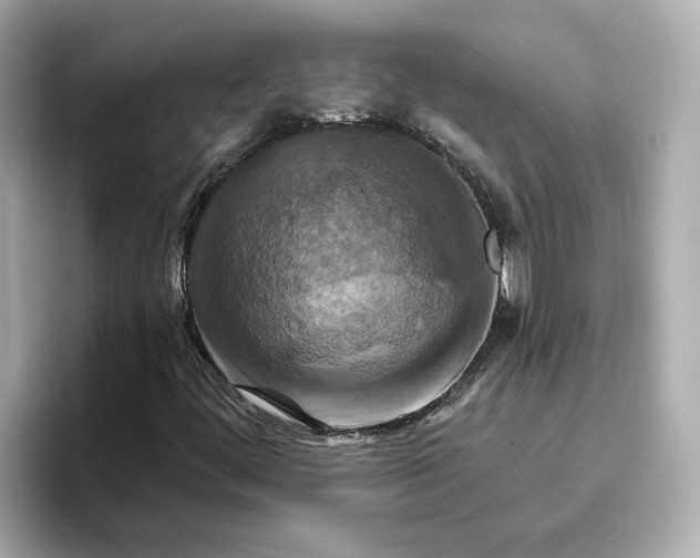 X0000096661444200802261332