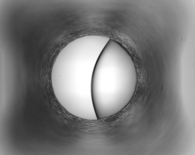 X0000096661445200802261332