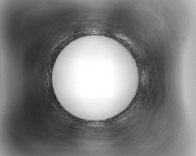 X0000096661446200802261332