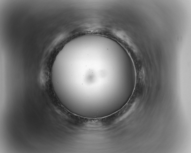 X0000096661447200802261332