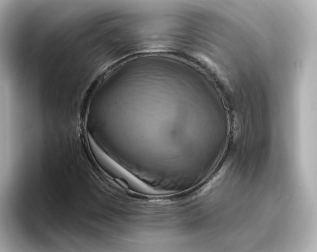 X0000096661449200802261332