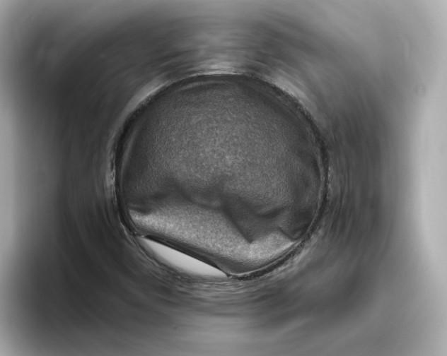 X0000096661450200802261332