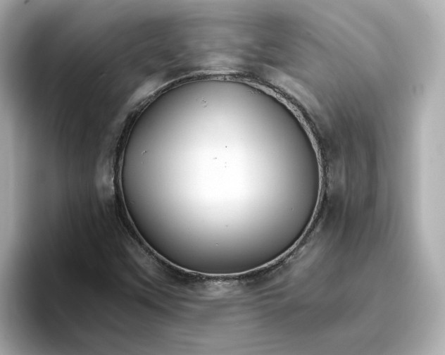 X0000096661451200802261332