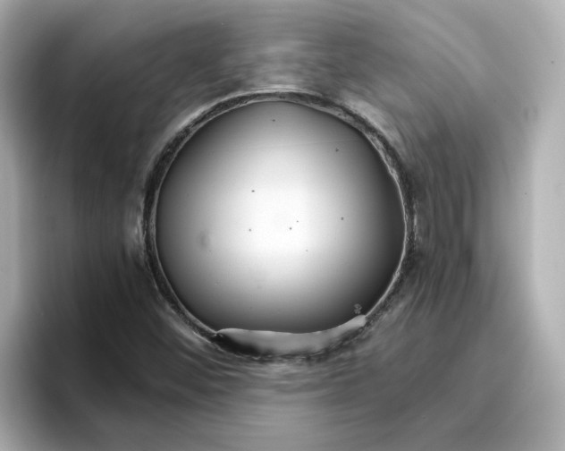 X0000096661452200802261332