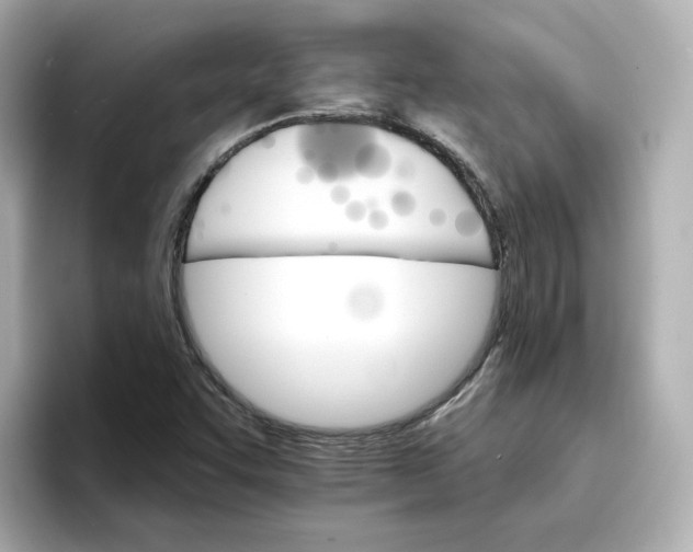 X0000096661455200802261332