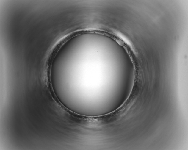 X0000096661456200802261332