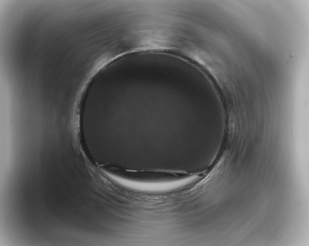 X0000096661459200802261332