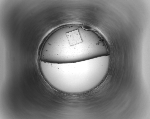 X0000096661460200802261332