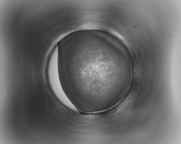 X0000096661461200802261332