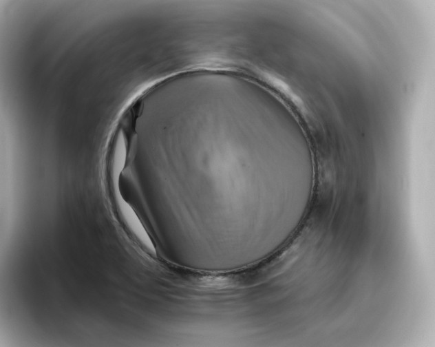 X0000096661463200802261332