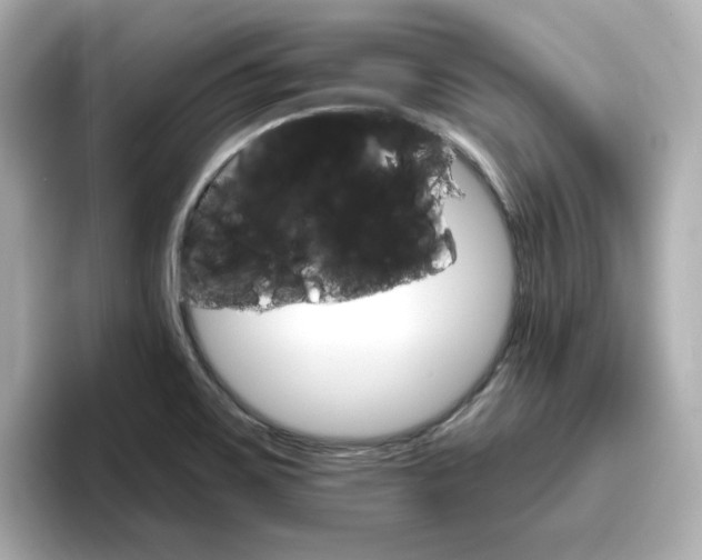 X0000096661467200802261332