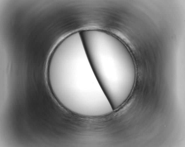 X0000096661469200802261332