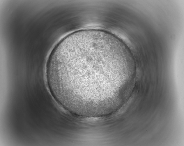 X0000096661470200802261332