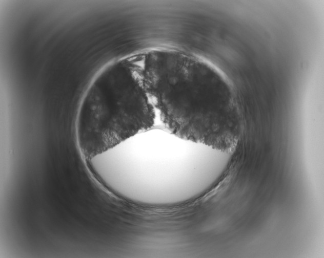 X0000096661471200802261332