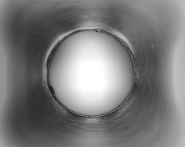 X0000096661472200802261332