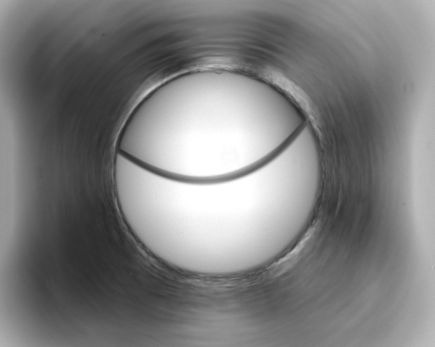 X0000096661473200802261332