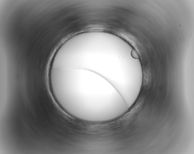 X0000096661475200802261332