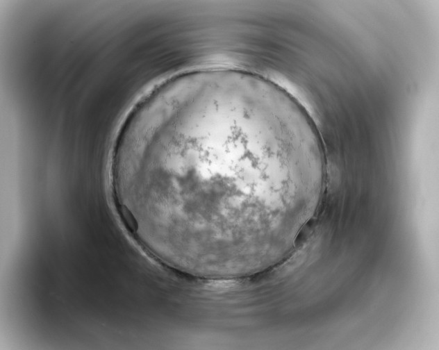 X0000096661477200802261332