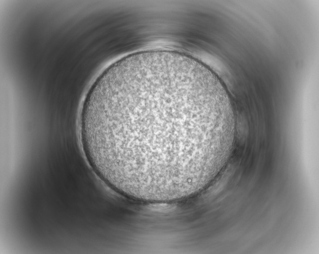 X0000096661478200802261332