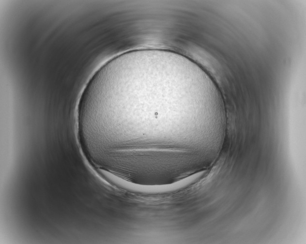 X0000096661479200802261332