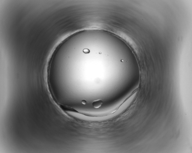 X0000096661480200802261332