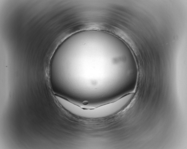 X0000096661481200802261332