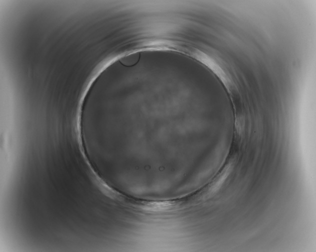 X0000096661482200802261332