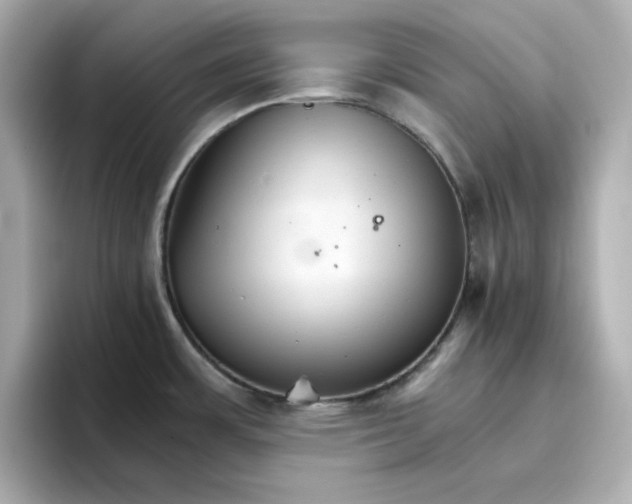 X0000096661483200802261332