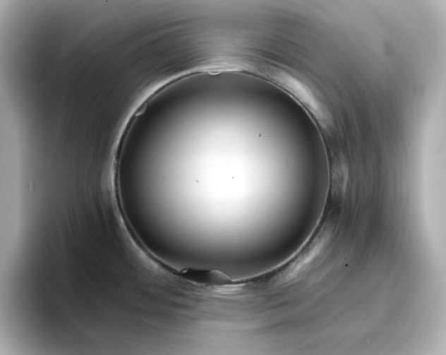 X0000096661484200802261331