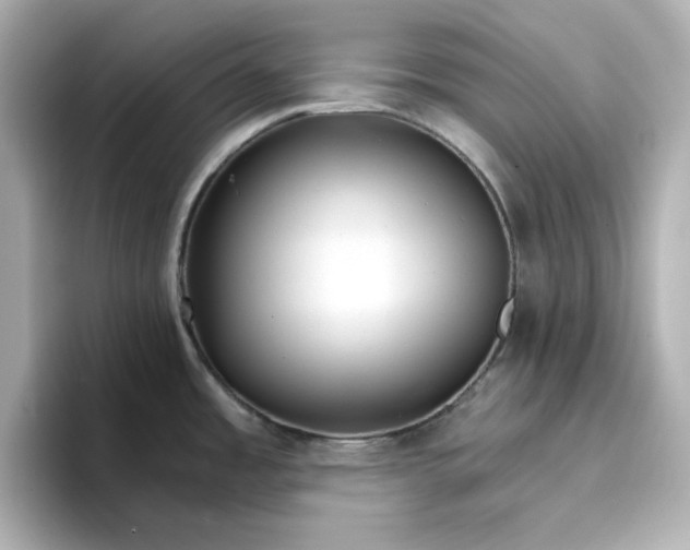 X0000096661485200802261331