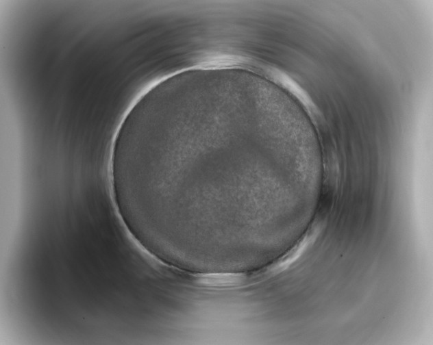 X0000096661487200802261331